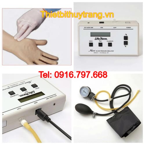 Mô Hình Cánh Tay Đo Huyết Áp Và Tiêm Truyền LF04079 Nasco