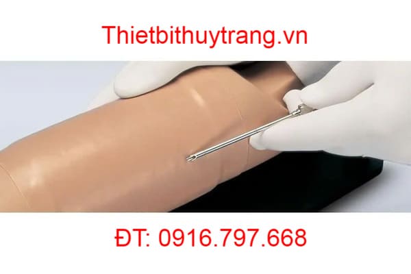 Mô Hình Cánh Tay Thực Tập Cấy Ghép Sinh Sản S519.PK Gaumard