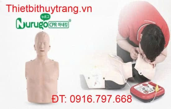Mô Hình Cấp Cứu Ngừng Tuần Hoàn CPR Nurugo L300 Best