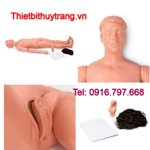Mô Hình Chăm Sóc Bệnh Nhân Nasco 150-1372