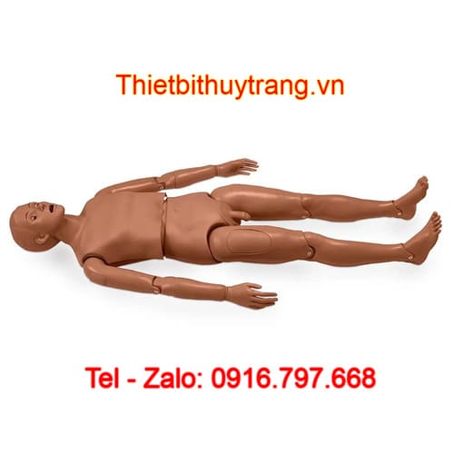 Mô Hình Chăm Sóc Điều Dưỡng Bệnh Nhân Đa Năng Gaumard S205M