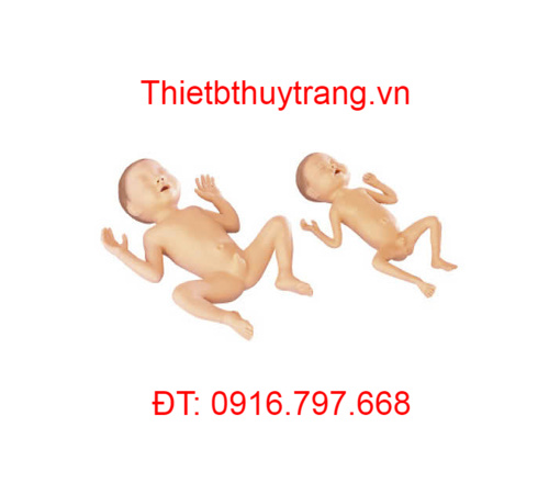 MÔ HÌNH CHĂM SÓC TRẺ SƠ SINH THIẾU THÁNG LM-062A
