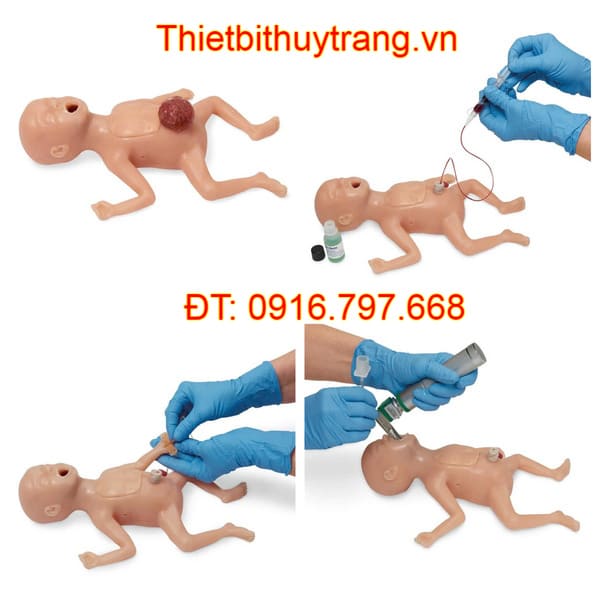 Mô Hình Chăm Sóc Trẻ Sơ Sinh Thiếu Tháng Nasco Đa Năng LF01280