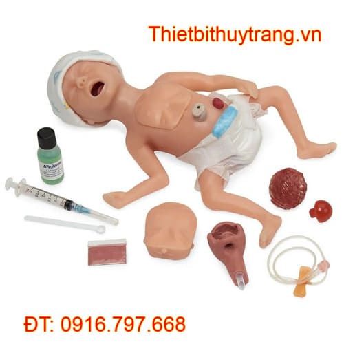 MÔ HÌNH CHĂM SÓC TRẺ SƠ SINH THIẾU THÁNG NASCO LF01280