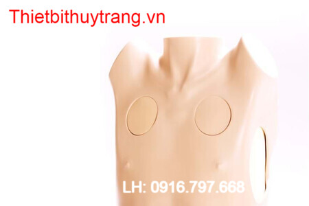 Mô Hình Chọc Dịch Màng Bụng Model 60230 Limbs & Things