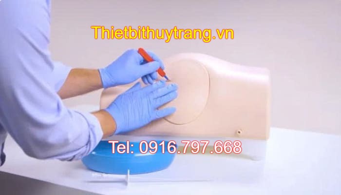 Mô Hình Chọc Dò Dịch Màng Bụng 60100 Limbs&Things Giá Tốt