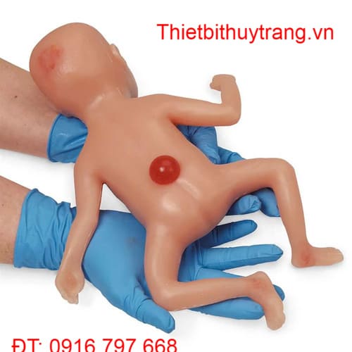 Mô Hình Đào Tạo Chăm Sóc Trẻ Sơ Sinh Thiếu Tháng Nasco LF01280
