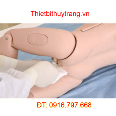 MÔ HÌNH ĐÀO TẠO ĐIỀU DƯỠNG THỤT THÁO CHO TRẺ EM GD/H161