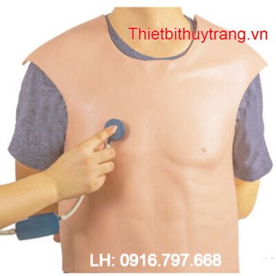 MÔ HÌNH ĐÀO TẠO KHÁM NGHE TIM PHỔI GD/TZ9