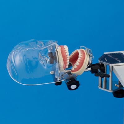 MÔ HÌNH ĐÀO TẠO NHA KHOA NISSIN - SIMPLE MANIKIN III