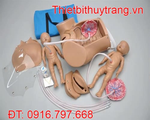 Mô Hình Đào Tạo Thực Hành Đỡ Sinh Đẻ S500 Gaumard