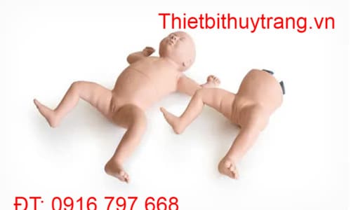 MÔ HÌNH ĐÀO TẠO THỰC HÀNH KHÁM HÔNG TRẺ SƠ SINH LIMBS & THINGS 42000