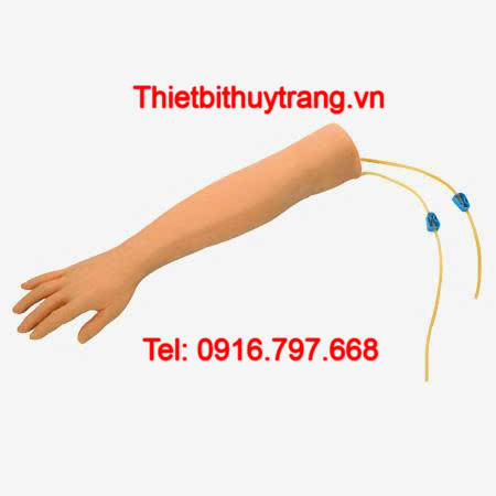 MÔ HÌNH ĐÀO TẠO TIÊM TRUYỀN TĨNH MẠCH CÁNH TAY GD/HS1