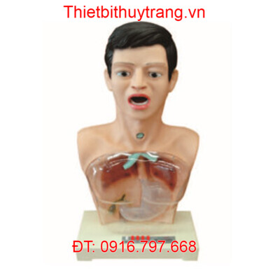 MÔ HÌNH ĐẶT SONDE DẠ DÀY VÀ RỬA DẠ DÀY TRONG SUỐT CÓ CẢNH BÁO GD/H7-1