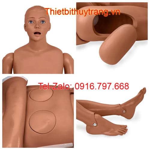 Mô Hình Điều Dưỡng Đa Năng S205M Gaumard