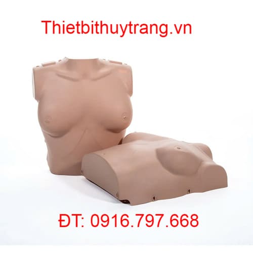 Mô Hình Ép Tim Thổi Ngạt CPR Prestan Phụ Nữ