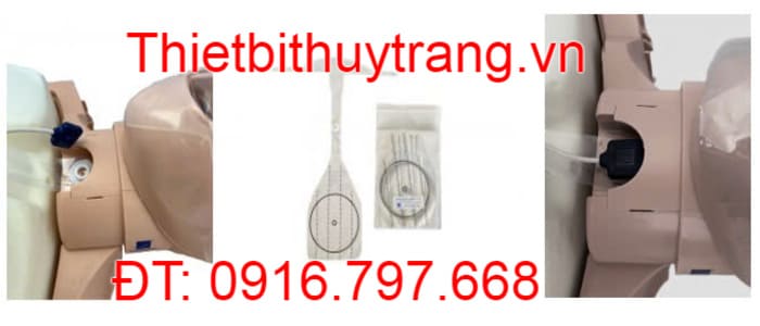 Mô Hình Ép Tim Thổi Ngạt Prestan Cao Cấp Người Lớn Series 2000