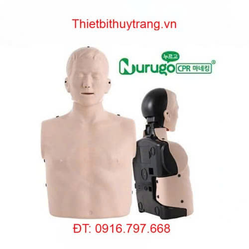 MÔ HÌNH HỒI SINH TIM PHỔI CPR NURUGO B100A HÀN QUỐC