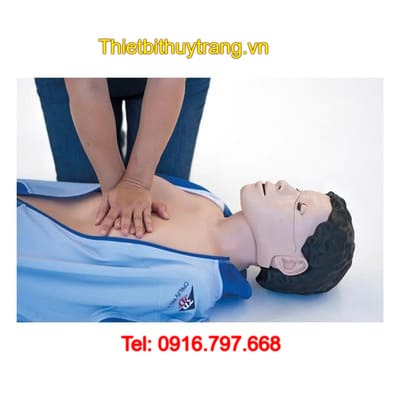 Mô Hình Hồi Sức Cấp Cứu 3B Scientific CPRLilly PRO Plus