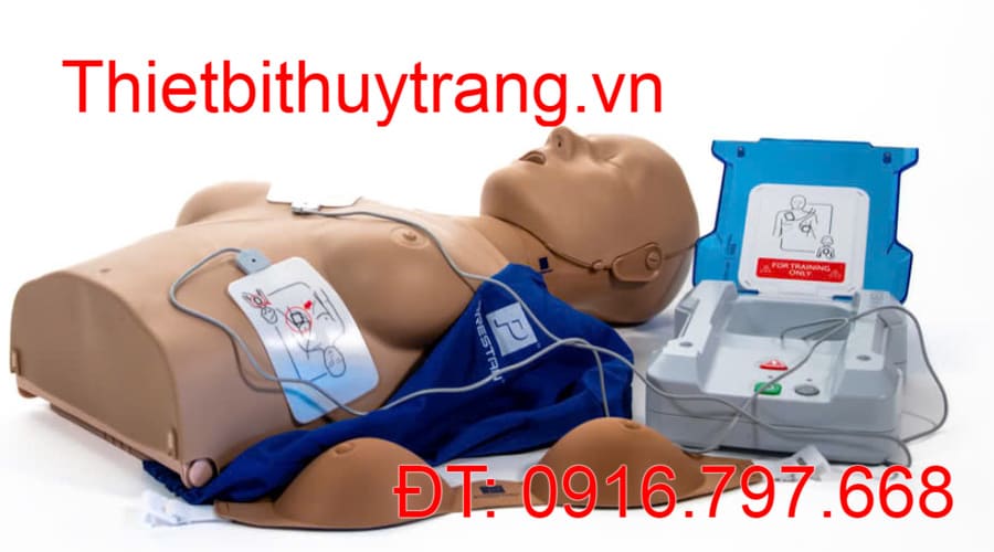 Mô Hình Hồi Sức Cấp Cứu CPR Prestan Phụ Nữ