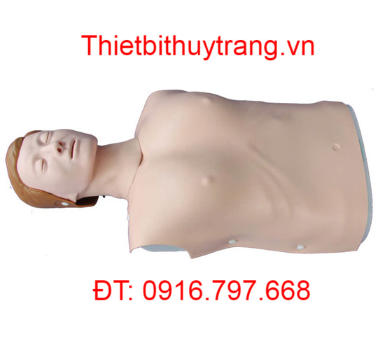 MÔ HÌNH HỒI SỨC CẤP CỨU CPR TT404B