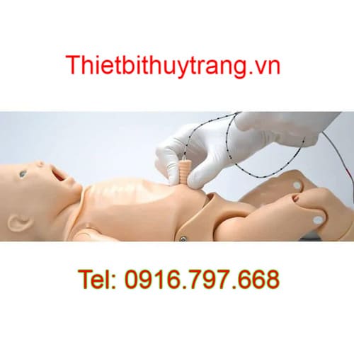 MÔ HÌNH HỒI SỨC CẤP CỨU TRẺ SƠ SINH ĐA NĂNG S320.101 GAUMARD