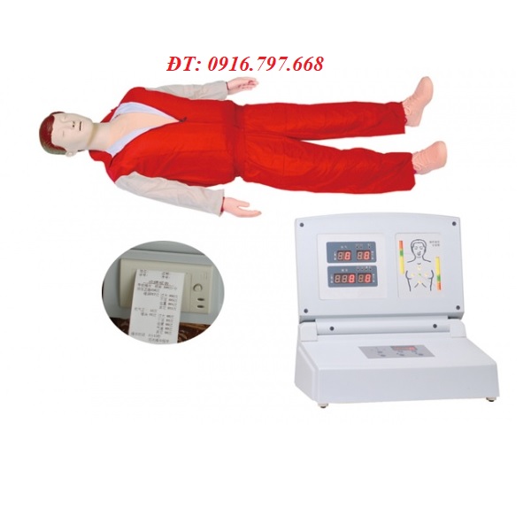 MÔ HÌNH HỒI SỨC TIM PHỔI HUẤN LUYỆN CPR ĐÀO TẠO AN TOÀN TRONG TRƯỜNG HỌC