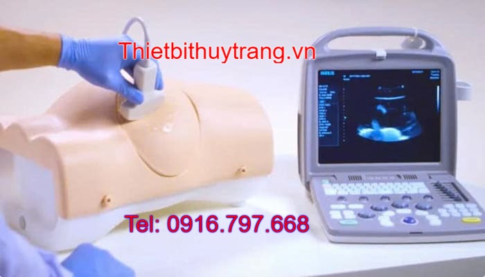 Mô Hình Huấn Luyện Chọc Dò Dịch Màng Bụng 60100 Limbs&Things