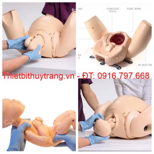 Mô Hình Huấn Luyện Đỡ Đẻ Prompt Flex Limbs & Things 80100