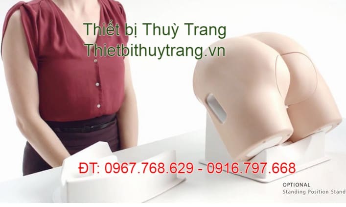 Mô hình huấn luyện khám hậu môn trực tràng Limbs & Things