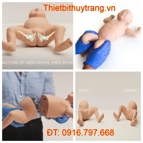 Mô Hình Huấn Luyện Khám Hông Háng Nhi Khoa Limbs & Things 42000