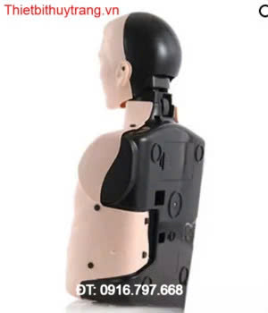Mô Hình Huấn Luyện Sơ Cấp Cứu CPR Nurugo B100 Hàn Quốc