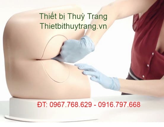 Mô hình khám hậu môn trực tràng Limbs & Things