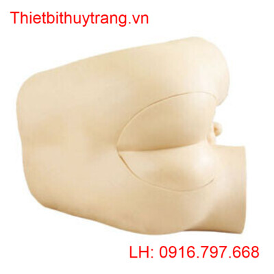 MÔ HÌNH THĂM KHÁM TRỰC TRÀNG CAO CẤP GD/LV39