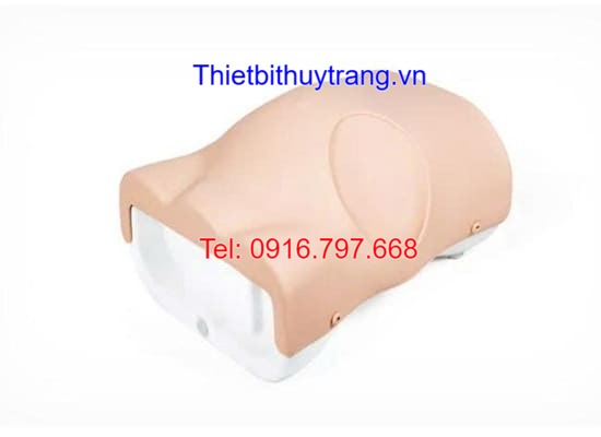 Mô Hình Thực Hành Chọc Dịch Màng Bụng Limbs&Things 60100