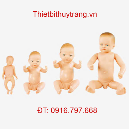 MÔ HÌNH THỰC HÀNH ĐIỀU DƯỠNG TRẺ EM SƠ SINH GD/FT