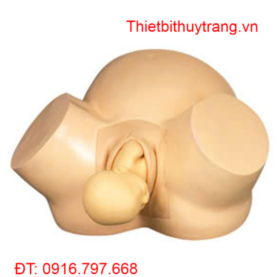 MÔ HÌNH THỰC HÀNH ĐỠ ĐẺ GD/F8