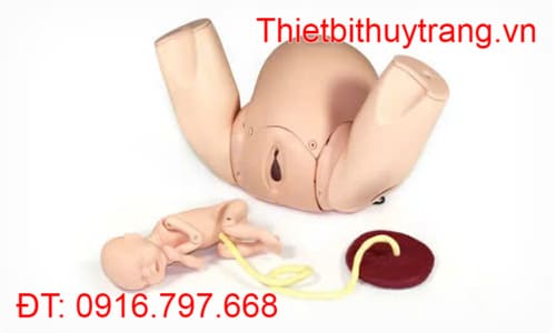 MÔ HÌNH THỰC HÀNH ĐỠ ĐẺ PROMPT FLEX LIMBS & THINGS 80100
