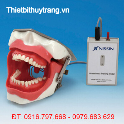 MÔ HÌNH THỰC HÀNH GÂY TÊ DẪN TRUYỀN NISSIN