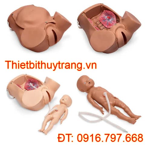 Mô Hình Thực Hành Giảng Dạy Đỡ Đẻ S500 Gaumard Mỹ