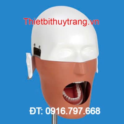 MÔ HÌNH THỰC HÀNH GIẢNG DẠY NHA KHOA NISSIM TYPE 2