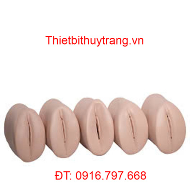 MÔ HÌNH THỰC HÀNH KHÁM TỬ CUNG GD/F54D