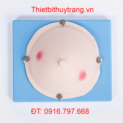 MÔ HÌNH THỰC HÀNH KIỂM TRA ÁP XE VÚ PHẪU THUẬT VÚ GD/F7D