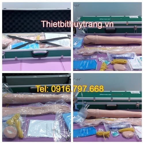 Mô Hình Tiêm Truyền Tĩnh Mạch Cánh Tay Cao Cấp HS2