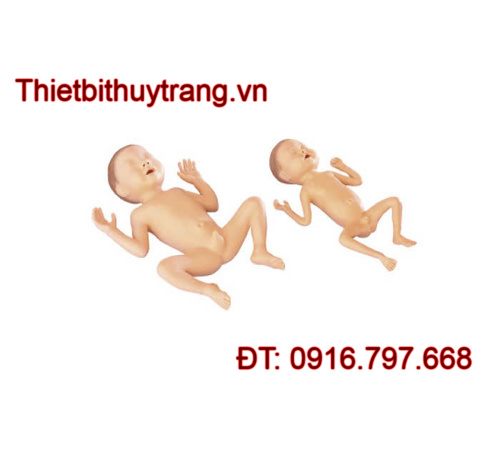 MÔ HÌNH TRẺ SƠ SINH THIẾU THÁNG LM-062B NHẬT BẢN