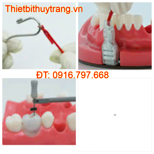 Mô Phỏng Huấn Luyện Nha Khoa Đo Độ Dài Ống Tuỷ Nissin CON1001