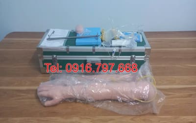Mô Hình Cánh Tay Tiêm Truyền Đa Năng Cao Cấp GD/HS2