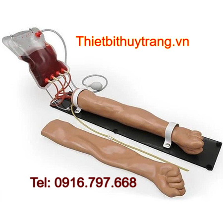 Mô Hình Cánh Tay Tiêm Truyền Tĩnh Mạch Đa Năng S401R Gaumard