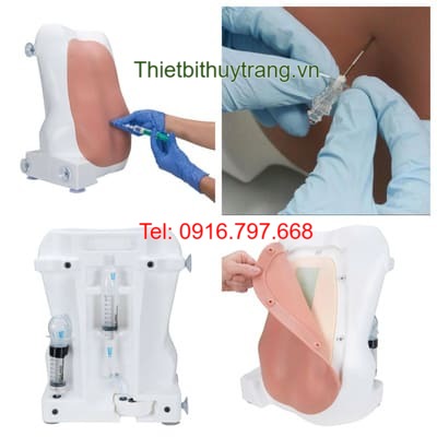 Mô Hình Gây Tê Tuỷ Sống Chọc Dò Hút Dịch 1017891 3B Scientific