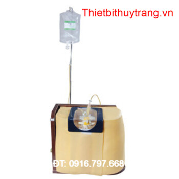 MÔ HÌNH CHỌC DÒ TUỶ SỐNG GD/L68A